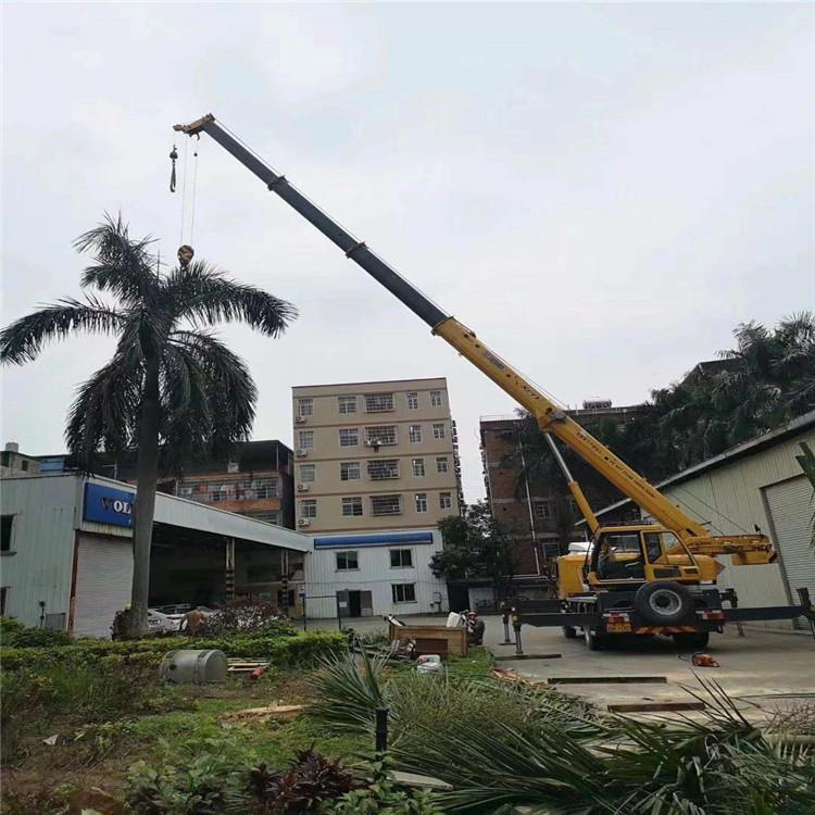 安陆汽车吊出租多少钱？全面解析与市场行情