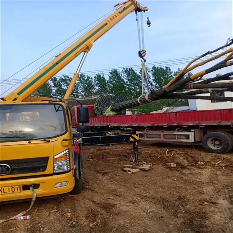 安陆100吨吊车租赁费用怎么算？3大关键因素+省钱技巧全解析